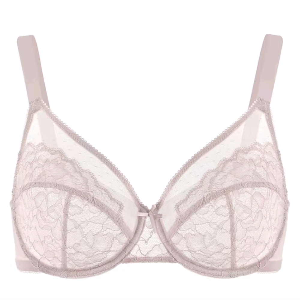 HSIA Enchante Floral Lace Unlined Comfort Non-padded Full Coverage Bra 34G